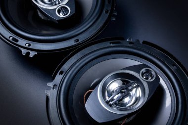 Modern car speakers close-up clipart