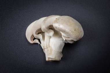 Dilimlenmiş şampiyon yakın plan