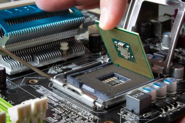 Computer processor in socket 