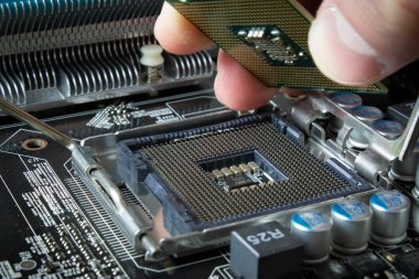 Computer processor in socket 