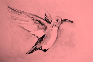 Colibri kuşunun el resmi