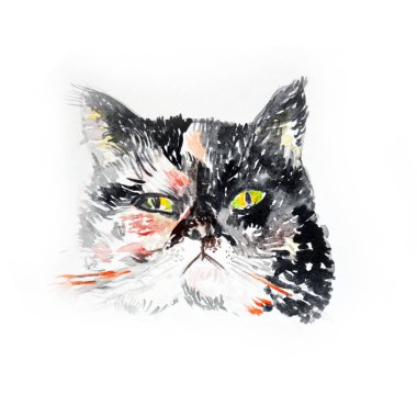 Kedi suratının suluboya resmini çiziyorum.