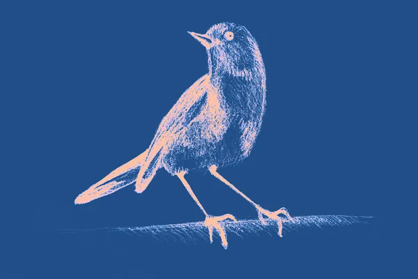 Mano Disegno Acquerello Immagine Hummingbird — Foto Stock