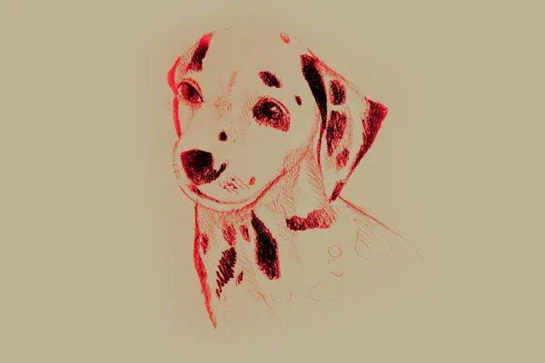 Hand Ritning Akvarell Bild Del Hunden — Stockfoto