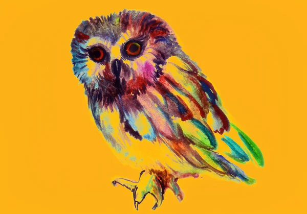 猫头鹰手绘水彩画 — 图库照片