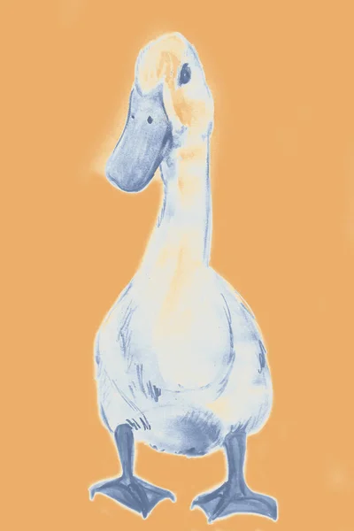 鸭的手绘水彩画 — 图库照片