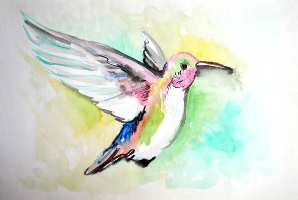 Hand Drawing Watercolor Picture Colibri Bird — Stock Photo, Image