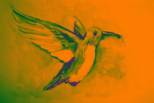 Disegno Mano Acquerello Immagine Colibri Uccello — Foto Stock