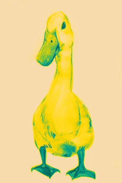 Hand Drawn Watercolor Picture Duck — Stock Photo, Image