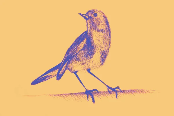 Ręczny Rysunek Akwarela Obraz Kolibra — Zdjęcie stockowe
