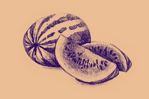 Ручной Рисунок Арбуза — стоковое фото