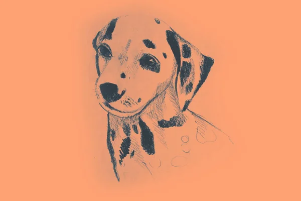 部分狗的手绘水彩画 — 图库照片