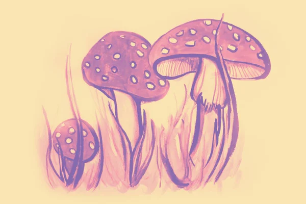 Hand Drawing Watercolor Picture Mushrooms Field — Stock Photo, Image