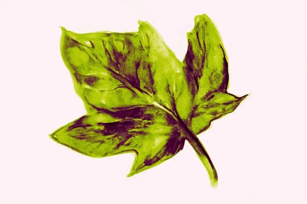 Handzeichnung Aquarell Bild Des Herbstblattes — Stockfoto