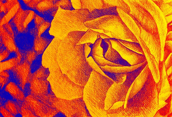 Dessin Main Aquarelle Fleur Rose — Photo