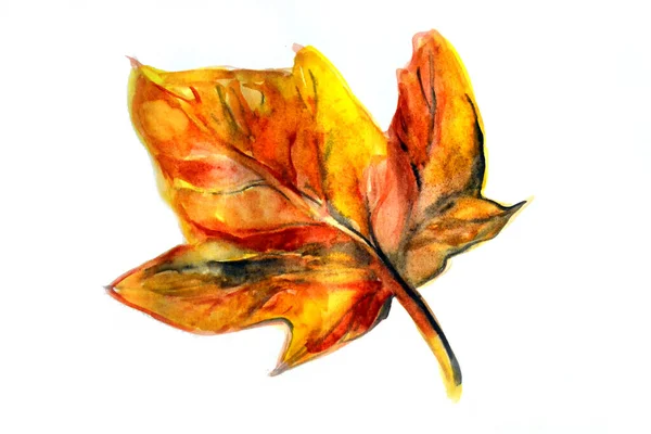 Handzeichnung Aquarell Bild Des Herbstblattes — Stockfoto