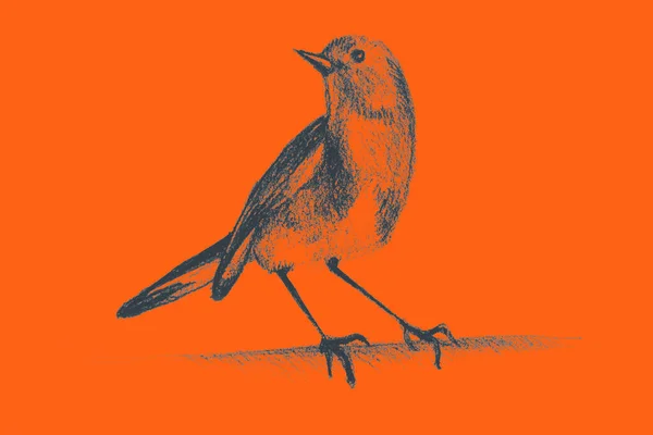 Handritning Akvarell Bild Hummingbird — Stockfoto