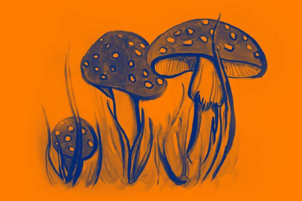 Disegno Mano Immagine Acquerello Funghi Campo — Foto Stock