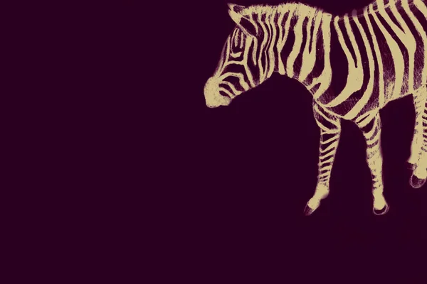 Disegno Mano Immagine Acquerello Zebra — Foto Stock