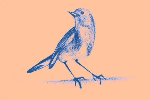 Ručně Kreslení Akvarel Obrázek Kolibříka — Stock fotografie