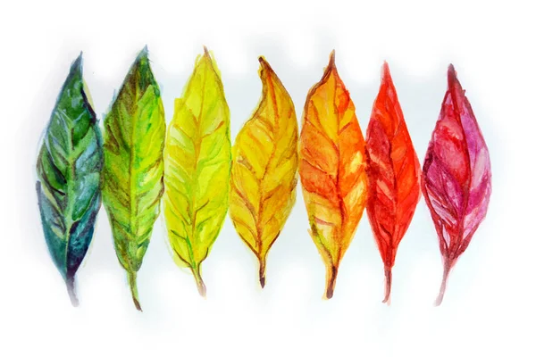 Sonbahar yapraklarının bir kısmının suluboya resmi