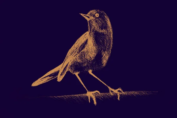 Mano Disegno Acquerello Immagine Hummingbird — Foto Stock