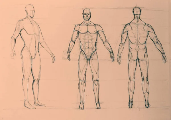 Рука Намальована Акварельна Картина Анатомії Людини — стокове фото