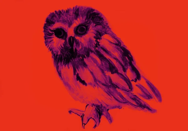 Image Aquarelle Dessinée Main Hibou — Photo