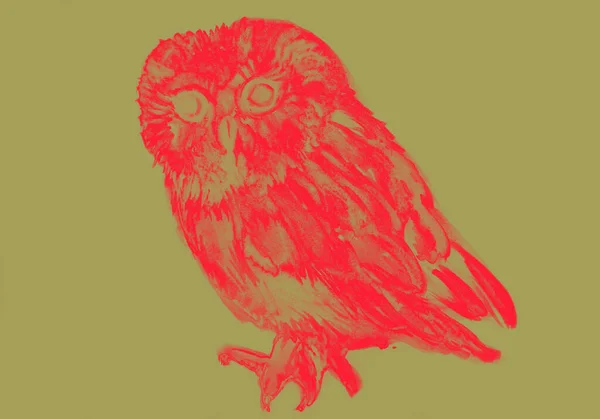 Baykuşun Çizimi Suluboya Resmi — Stok fotoğraf