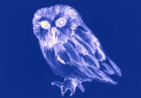 Hand Drawn Watercolor Picture Owl — Stock Photo, Image