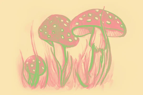 Hand Drawing Watercolor Picture Mushrooms Field — Stock Photo, Image