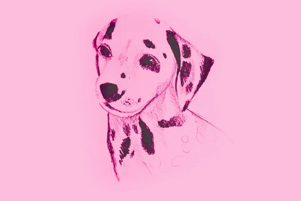 Handtekening Aquarel Afbeelding Van Een Deel Van Hond — Stockfoto