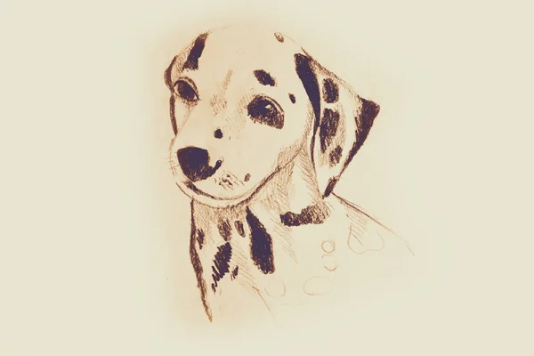 Dessin Main Aquarelle Une Partie Chien — Photo