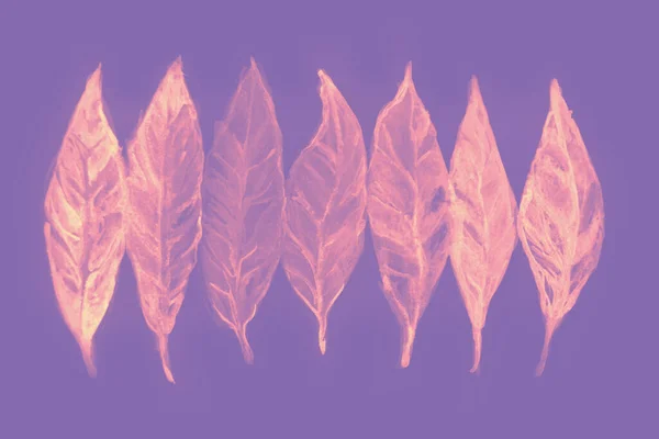 Sonbahar yapraklarının bir kısmının suluboya resmi