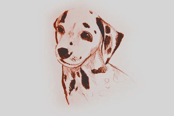 Hand Drawing Watercolor Picture Part Dog — Stock Photo, Image