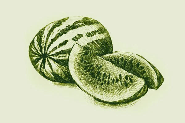 Hand Drawn Watercolor Picture Watermelon — Stock Photo, Image