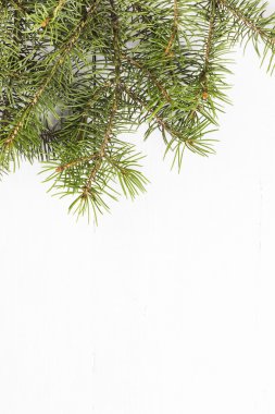 Beyaz arka planda noel ağacı