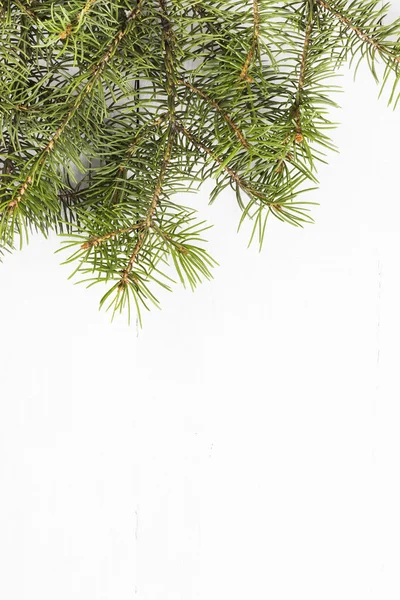 Árvore de natal em um fundo branco — Fotografia de Stock