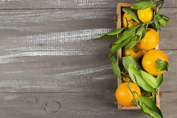 Tangerines with green leaflets on a dark wooden background. Top