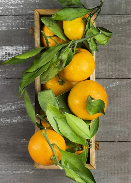 Tangerines with green leaflets on a dark wooden background. Top