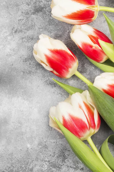 Bouquet of red-white tulips on a light background. Top view, copy space
