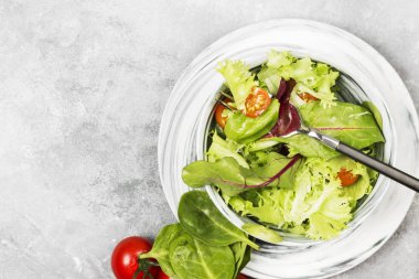 Diyet karışık yeşillik salatası (mesclun, mache, marul) ve che