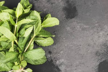 Karanlık bir arka plan üzerinde taze nane şekeri bir grup. Görünümü en çok, uzay kopyalayın. Fo