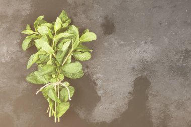 Karanlık bir arka plan üzerinde taze nane şekeri bir grup. Görünümü en çok, uzay kopyalayın. Gıda arka plan. Tonin