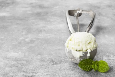 Nane dondurma kaşık gri bir arka plan üzerinde. Uzay kopyalayın. Gıda b