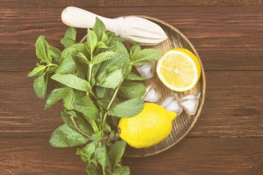 Limonata - limon, nane, için malzemeler üzerinde ahşap tepsi içinde buz bir 