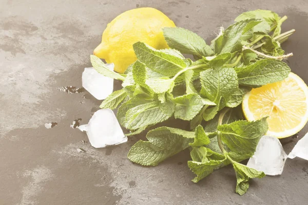 Los ingredientes para la limonada - el limón, el hielo, la menta sobre el fondo oscuro — Foto de Stock