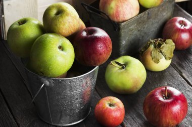 Koyu ahşap arka plan üzerinde metal kovada çeşitli olgun elma