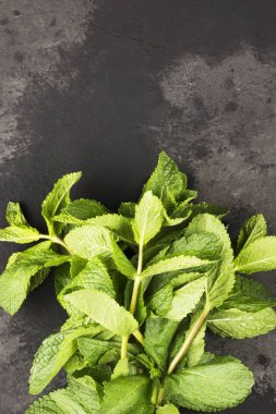 Karanlık bir arka plan üzerinde taze nane şekeri bir grup. Görünümü en çok, uzay kopyalayın. Fo