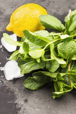 Malzemeler için limonata - limon, buz, karanlık bir arka plan üzerine nane